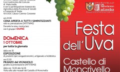 festa_dell_uva_2017_1